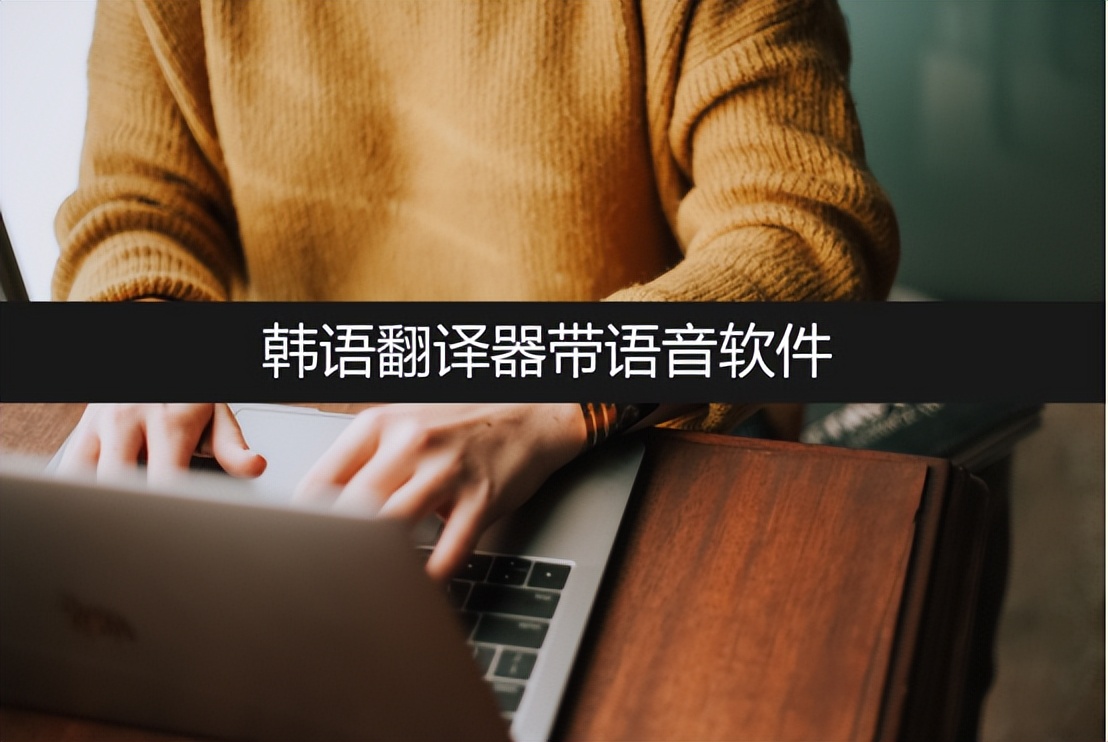 翻译器在哪下载可以翻译韩语的,韩语翻译器哪个app好用vivo