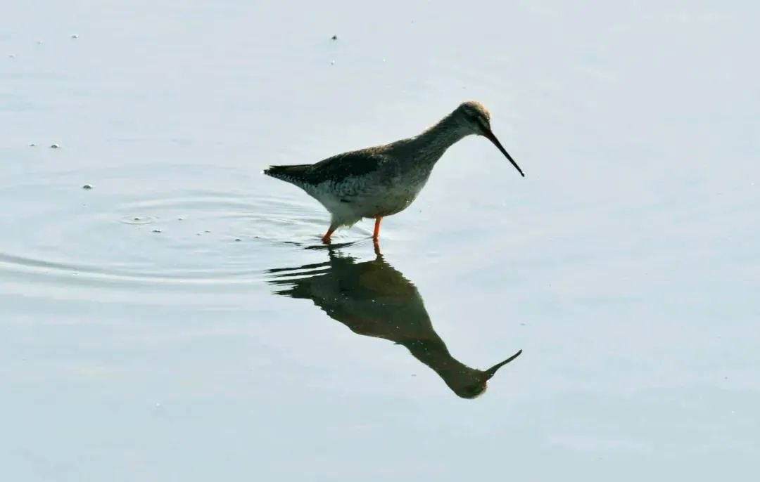 昆明七彩云南怎么样,七彩云南避暑家园
