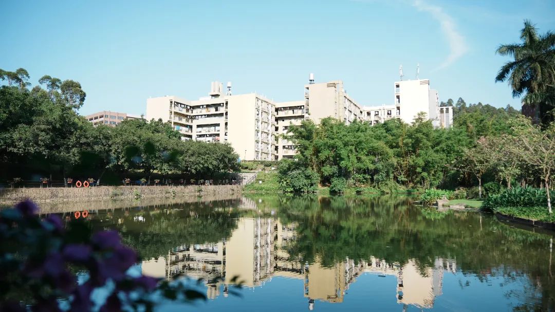 广东最美学院,广东岭南现代技师学院招生简章