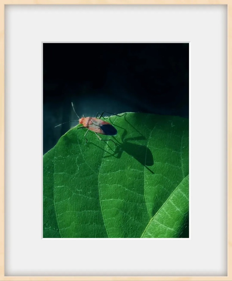 教你一招拍大片,拍摄60个技巧