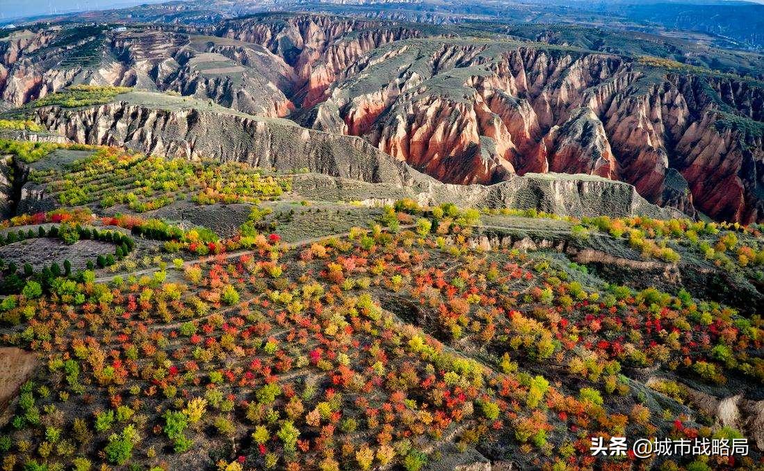 鐓ら兘鎶氶『vs鐓ら兘澶у悓,鐓ら兘灞辫タ鍙戝睍