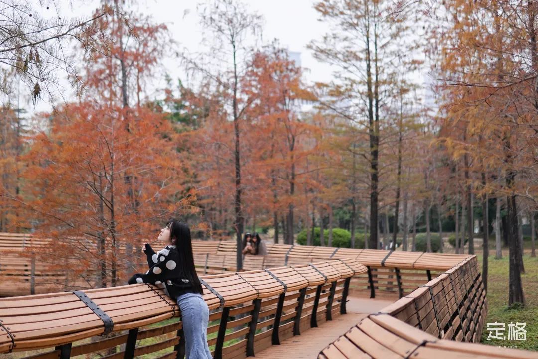 深圳地铁可以直接去的免费景点,深圳免费地铁直达景点12号线