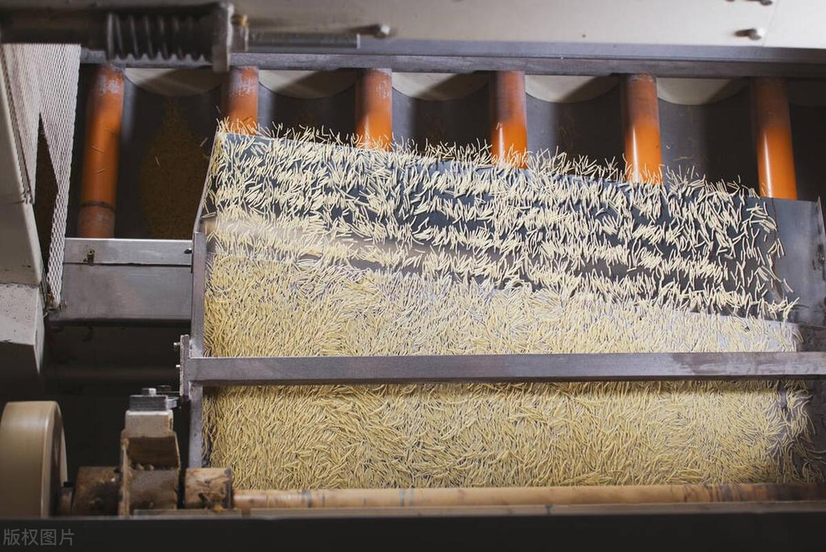 爸爸睡前故事之《肚子里的世界之参观消化工厂》