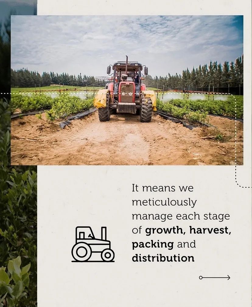 蓝莓可增强视力消除眼睛疲劳,吃蓝莓和吃胡萝卜哪个对视力更好