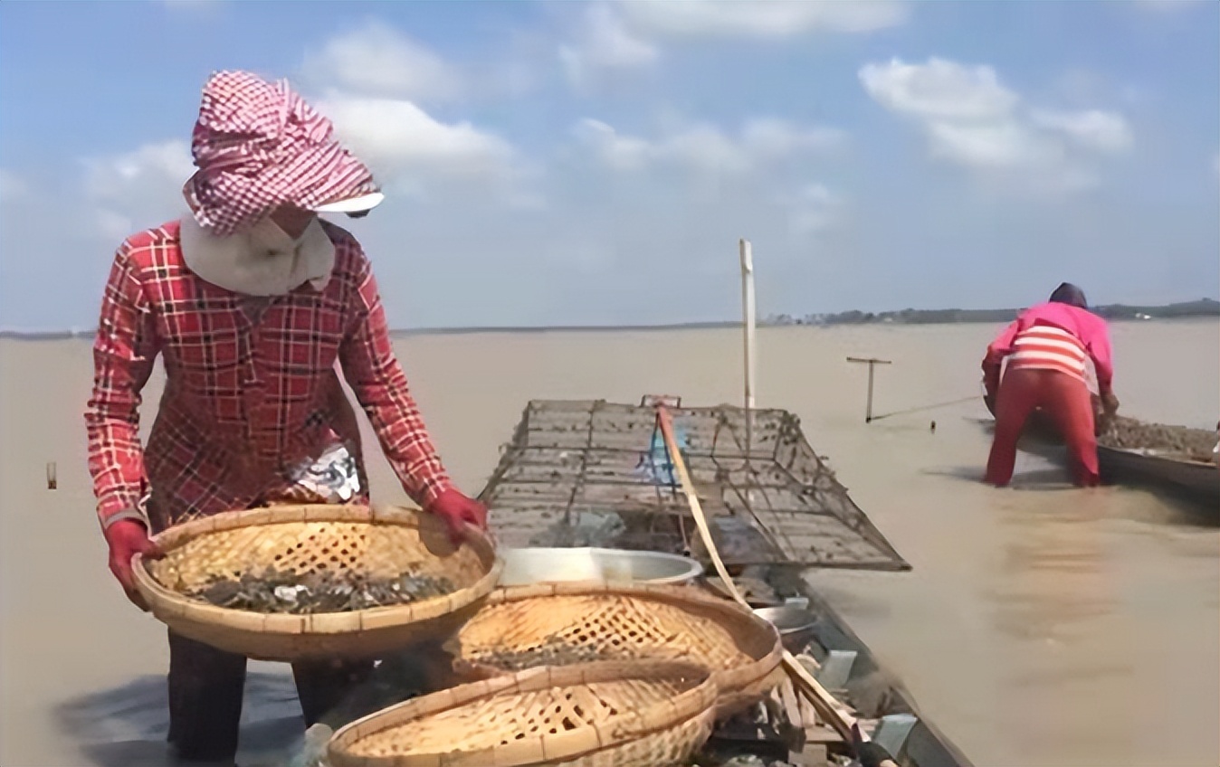 柬埔寨美食吃法,柬埔寨最受欢迎的美食