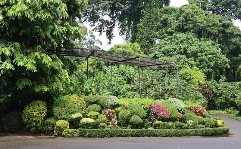 斯里兰卡旅游攻略必去景点,斯里兰卡最佳旅游攻略