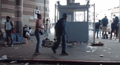 癞蛤蟆的毒有多可怕,癞蛤蟆毒素上瘾