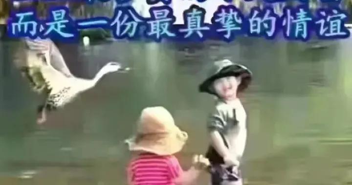 一个男的一直看你什么意思,男人一直看着你是啥意思