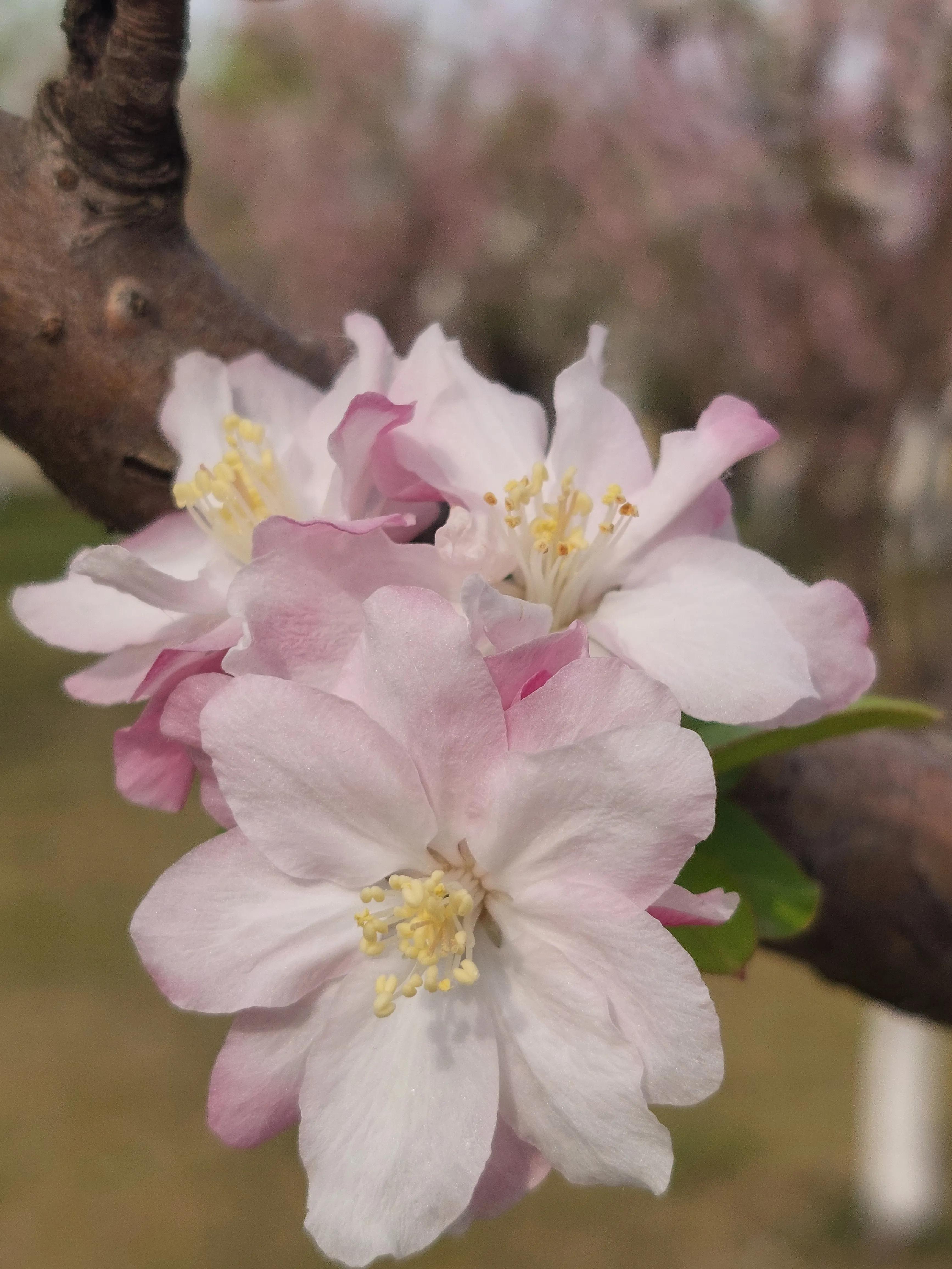 自媒体到底怎样赚钱,自媒体到底怎么赚钱的