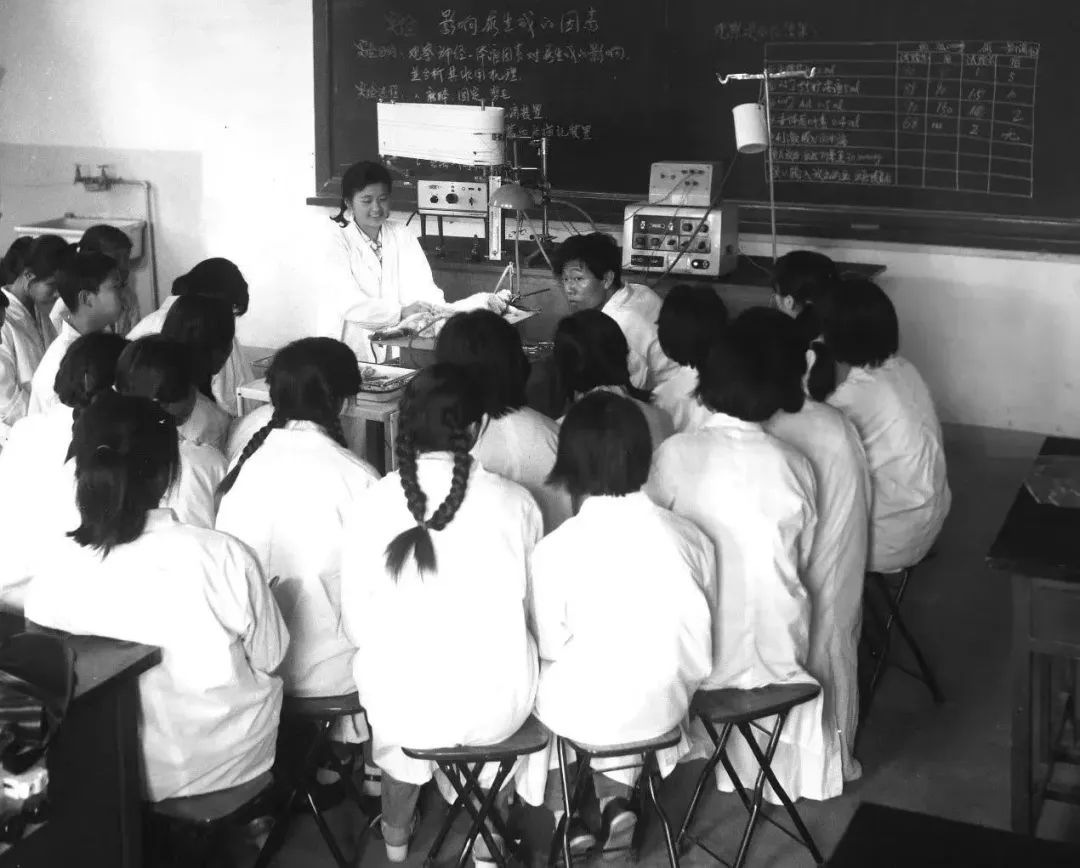 你的出现惊艳了时光温柔了岁月,一个惊艳了时光一个温柔了岁月