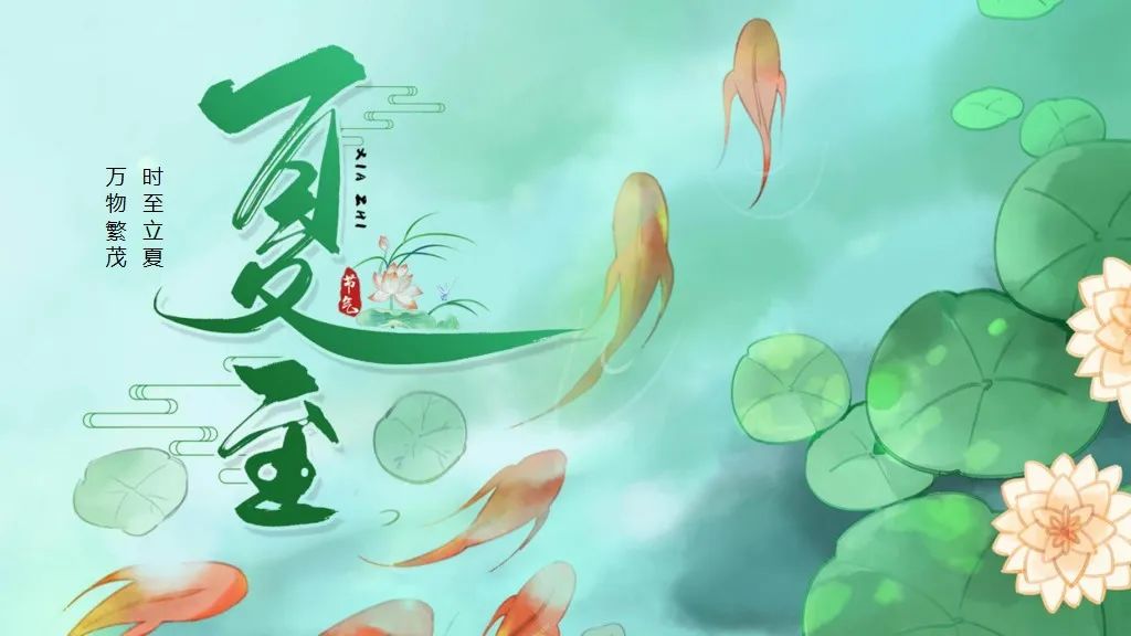 ppt2010夏至模板,ppt设计主题夏至