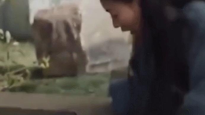 吴谨言最近爆料,吴谨言最新舞台乘风破浪