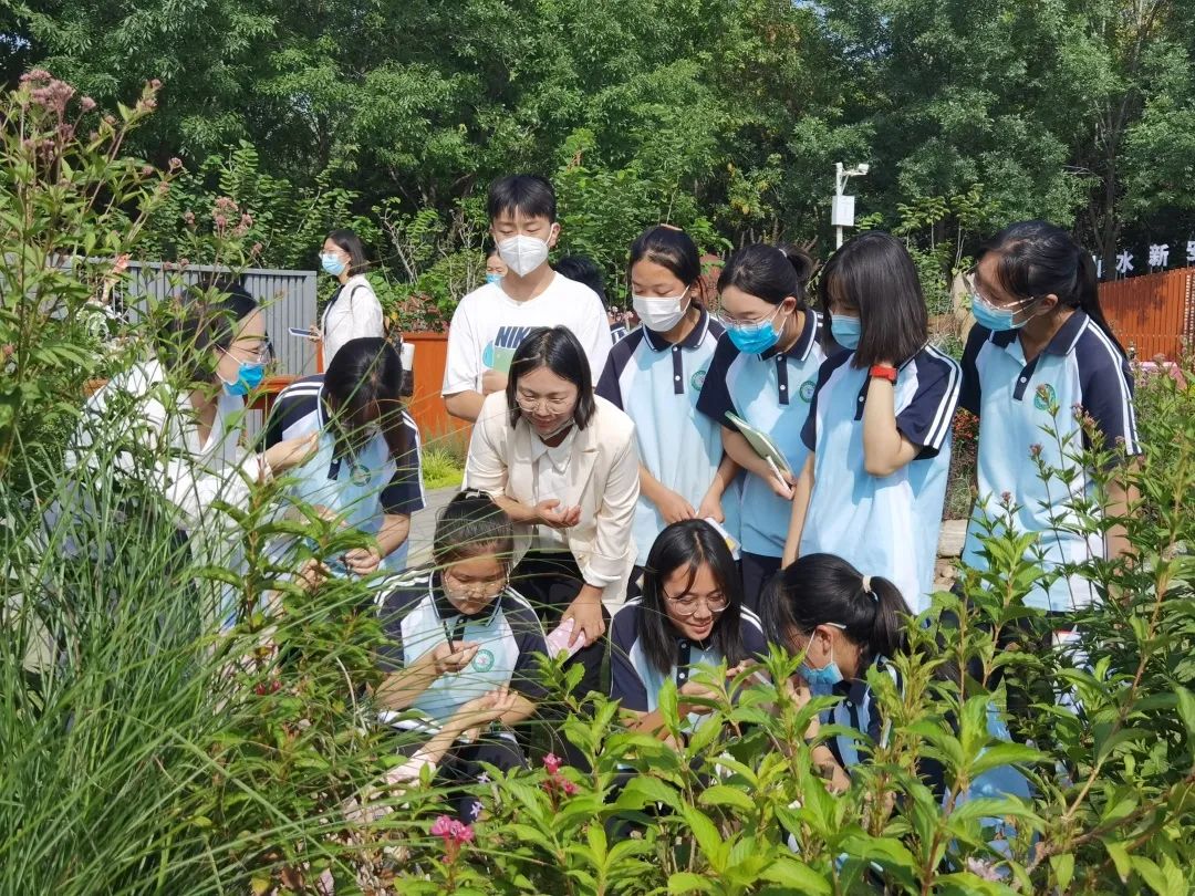 洛龙区十二中研学活动,洛阳研学实践活动