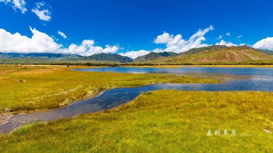 出发西北游,去西北旅行吧