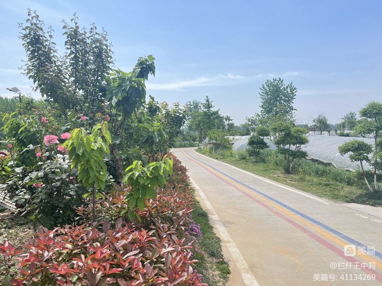 平安淮滨新变化丨淮滨县栏杆街道:喜迎二十大,夸夸我的家乡王湾新变化