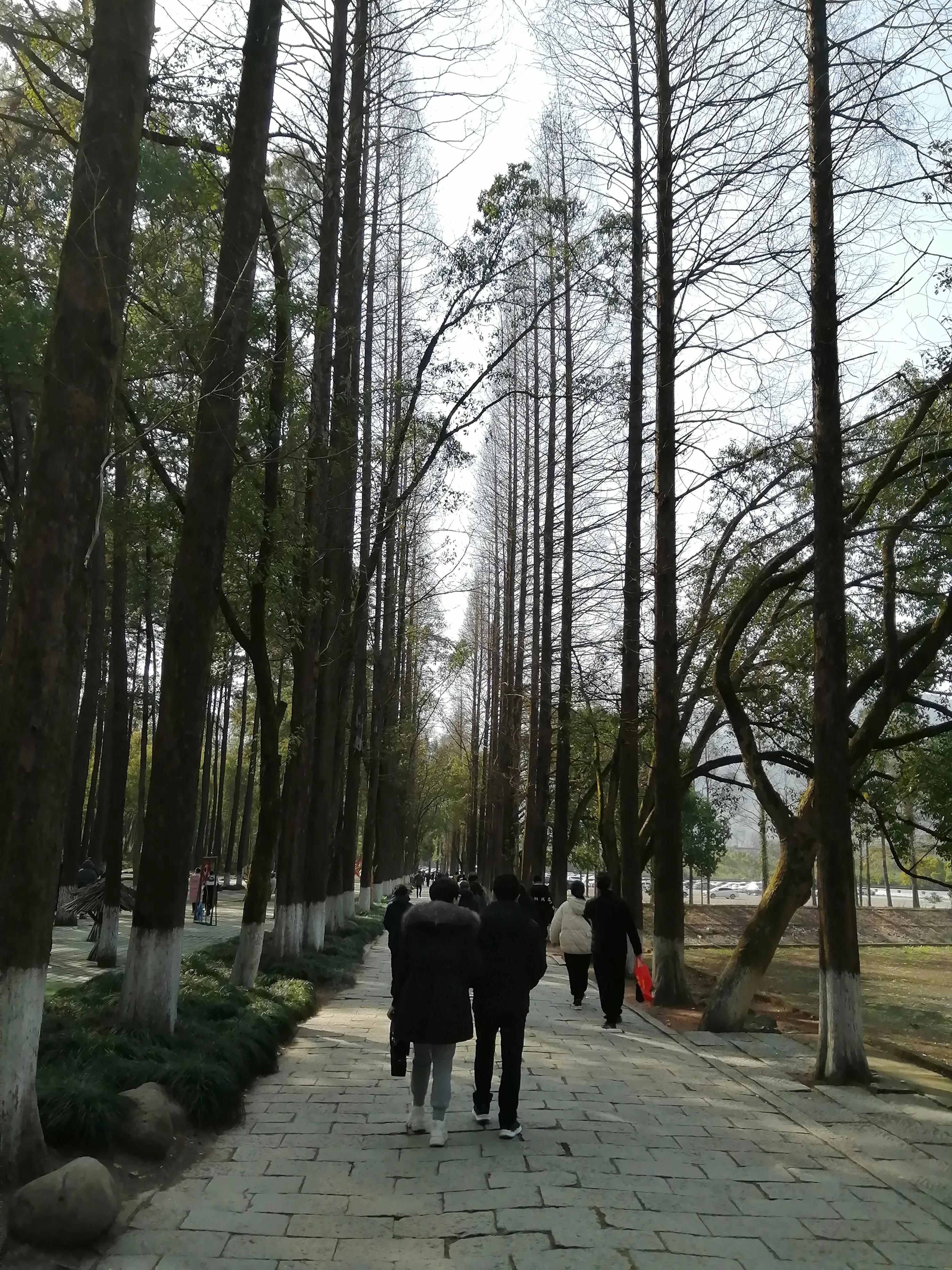 杭州市瑶琳仙境景点简介,杭州瑶琳仙境旅游攻略图