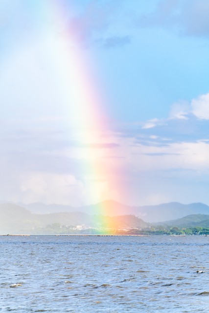 风雨后的彩虹歌曲完整版,风雨后的彩虹dj