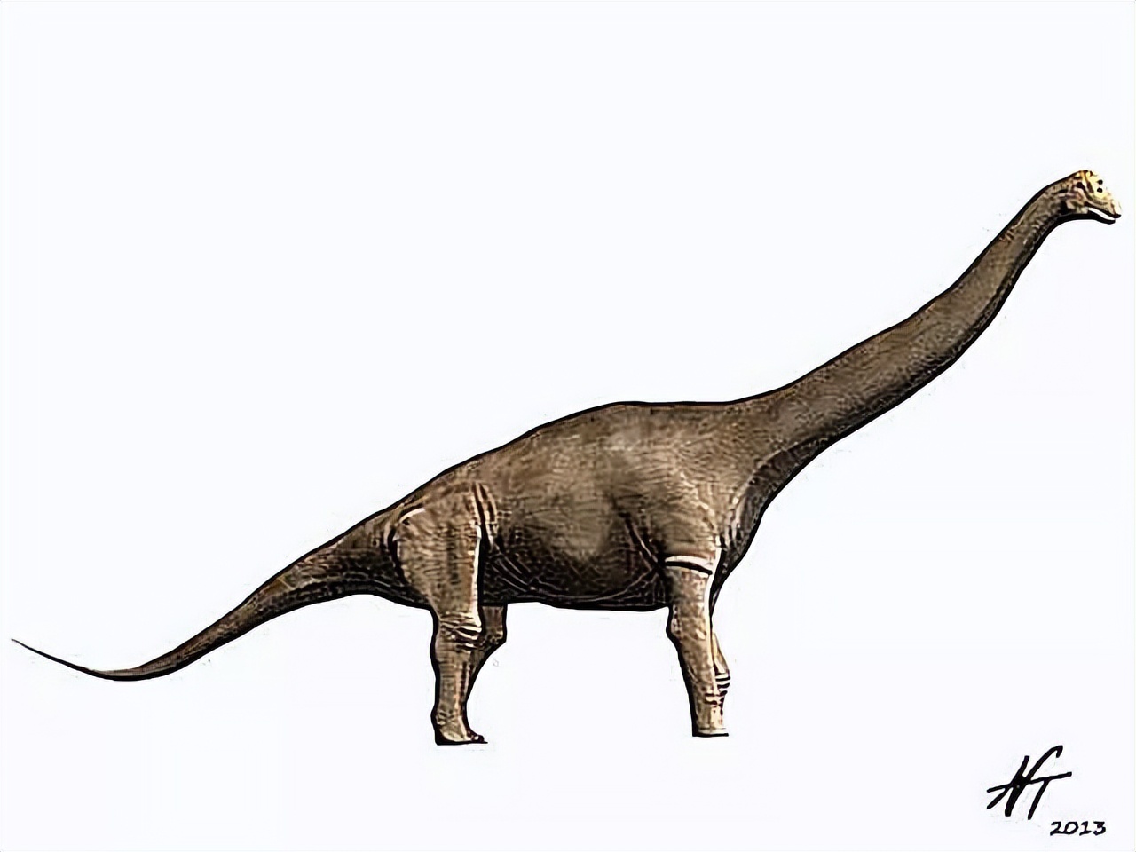 泰坦巨龙图片从哪来的,泰坦巨龙恐龙图片和简介