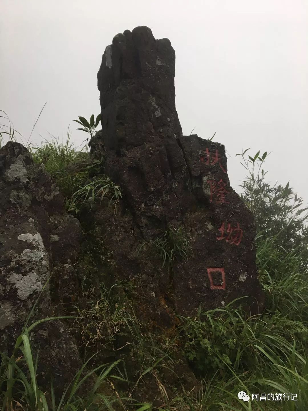 广西十万大山国家森林公园,广西十万大山国家森林公园图片