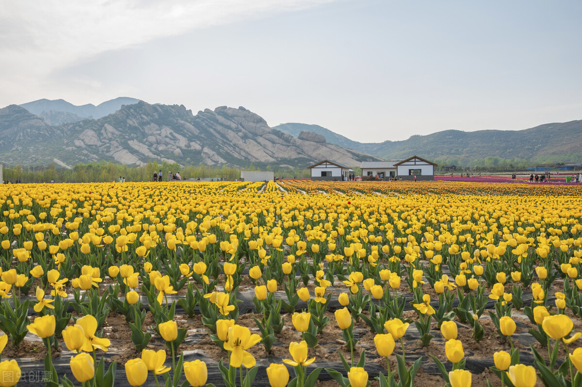 河北石化项目最新消息,山东最新开工的化工项目