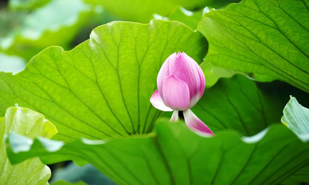 微单小三元镜头,索尼长焦镜头70-200f4机身按键作用