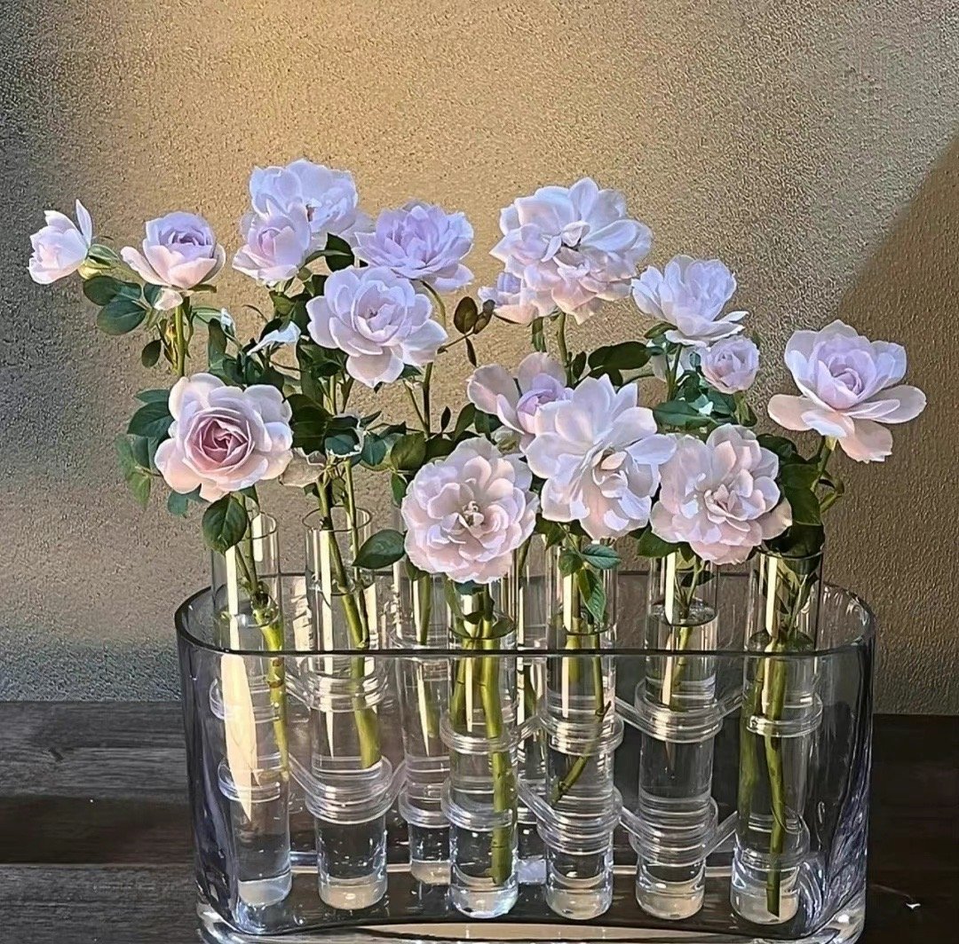 朋友圈秋天走心文案短句,秋天喵喵喵朋友圈文案