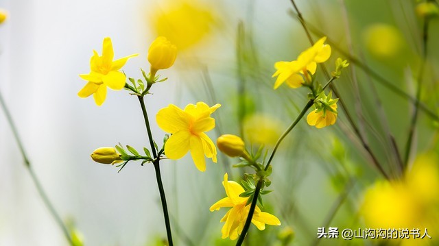 七律春节临近,七律春节相聚