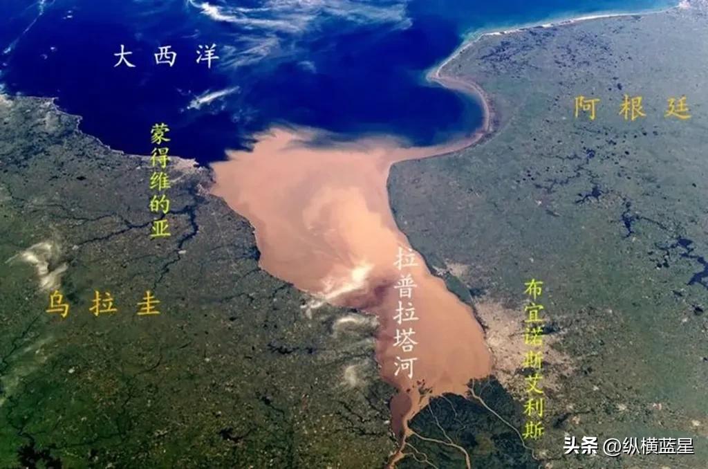 雄鹰展翅好还是站立鹰好,雄鹰vs阿根廷