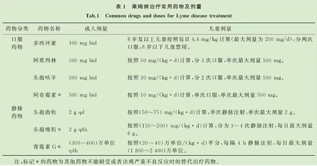 鲁晓擘教授介绍,鲁晓擘教授