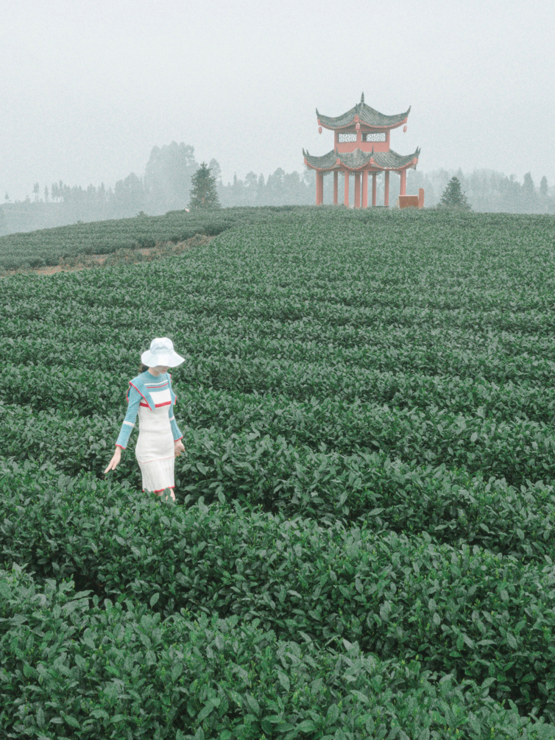 成都近郊一个小众禅意古镇,成都茶山古镇图片