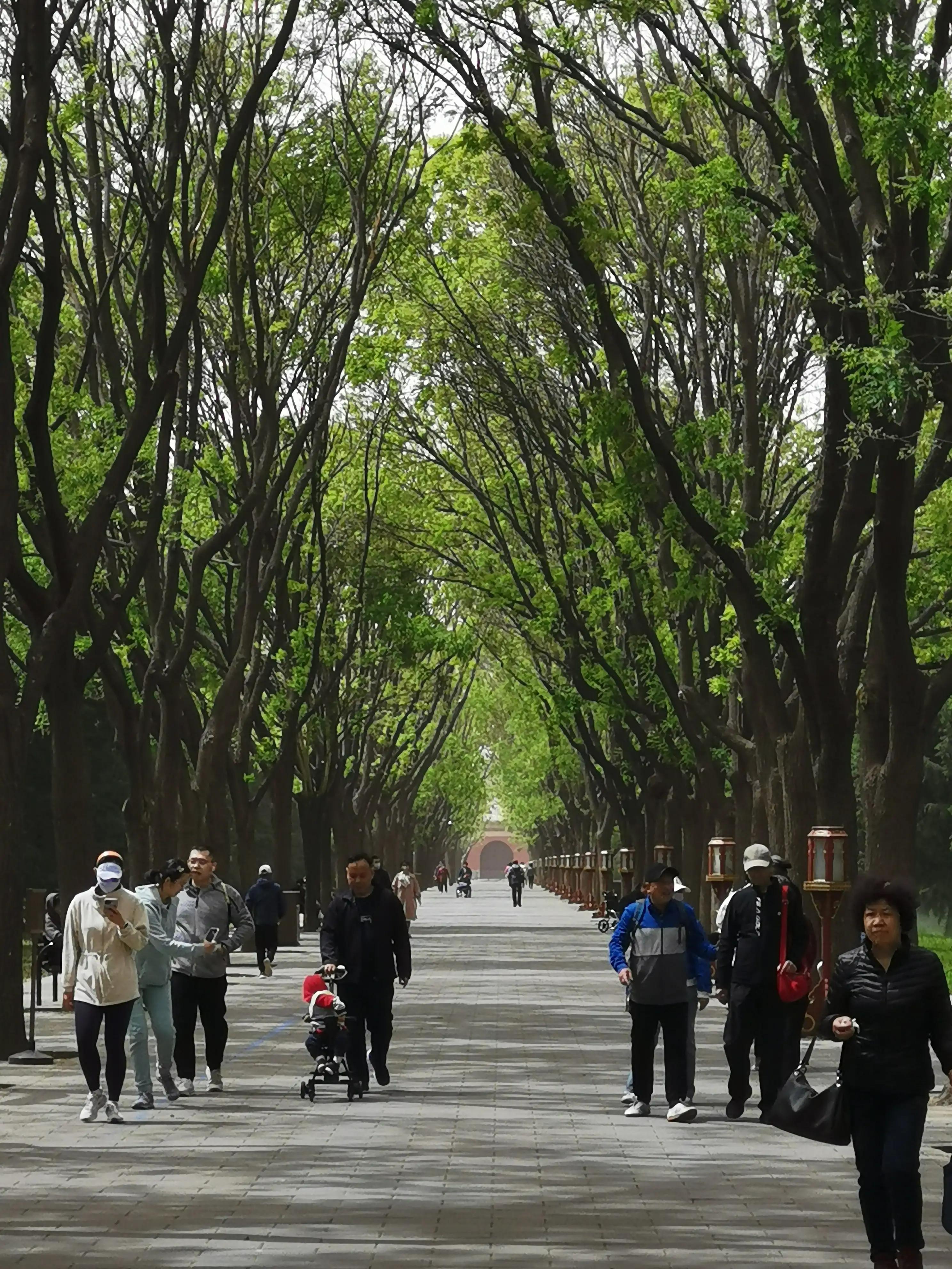 逛天坛需要多长时间,天坛游玩攻略及美食