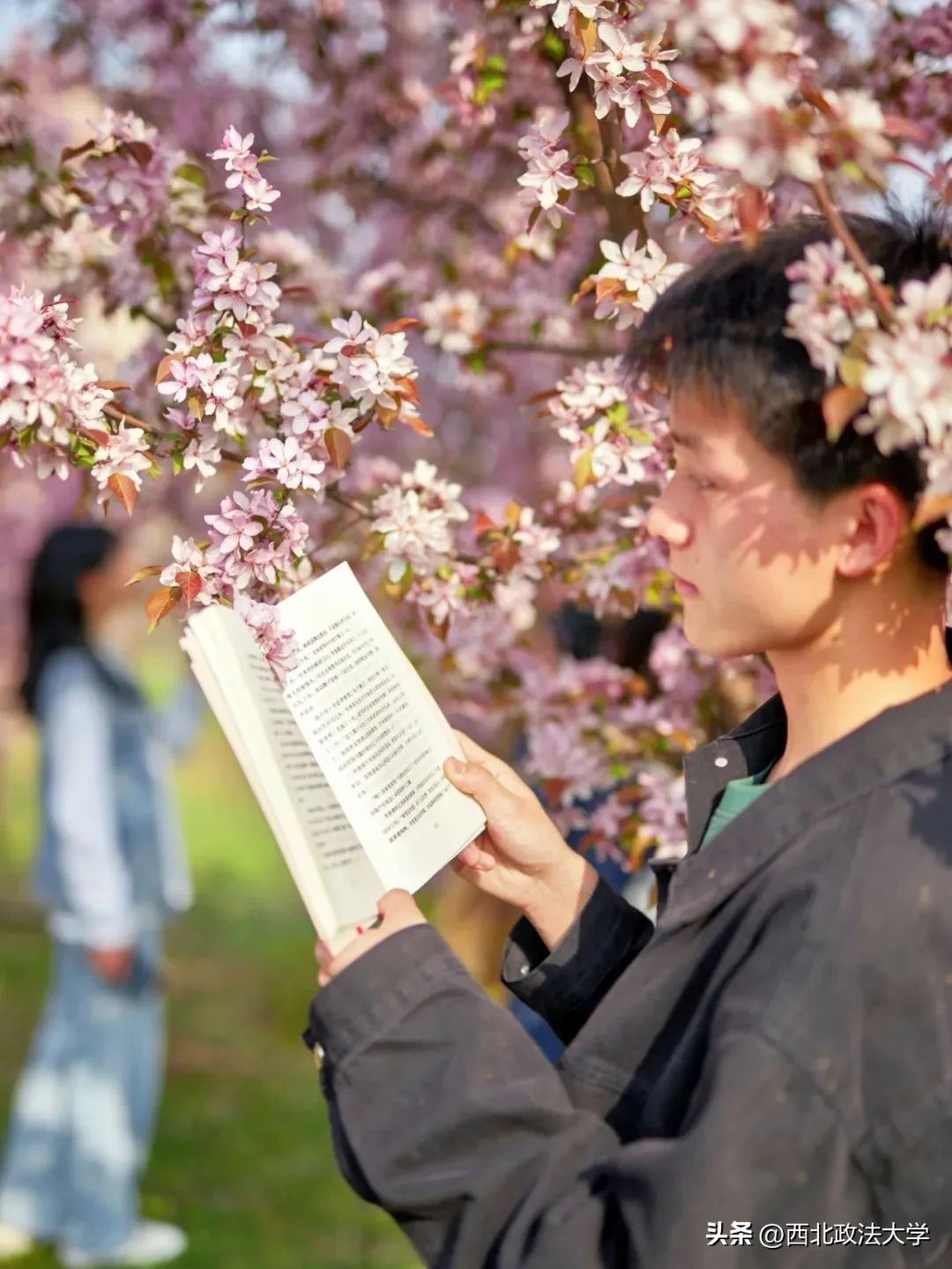 你为什么考研选择西法大,为什么选择西法大