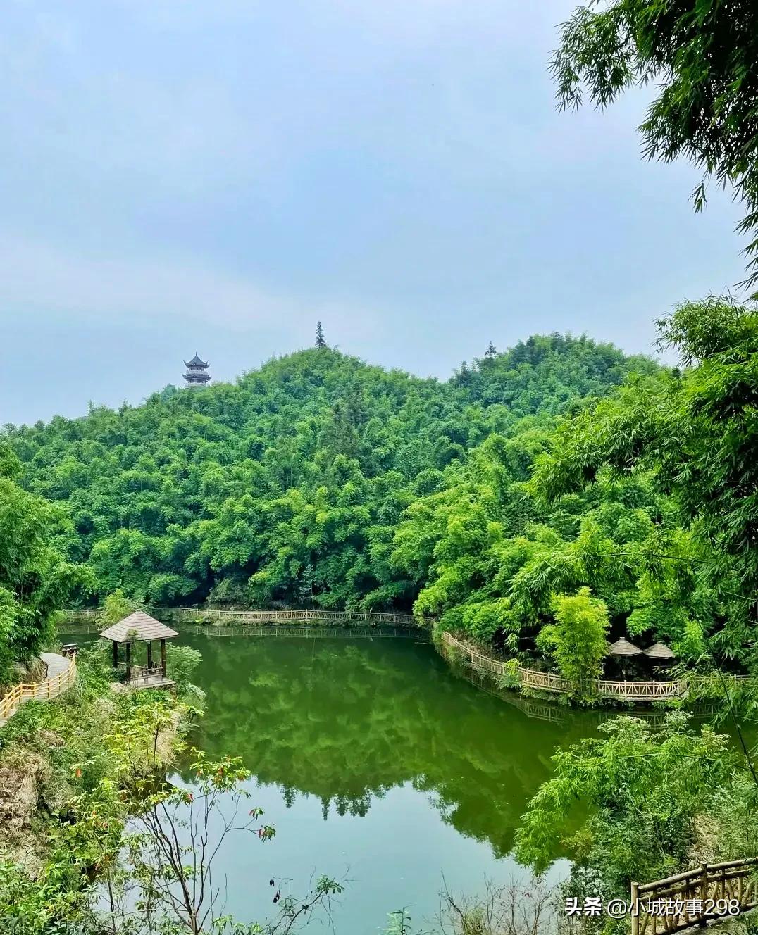 乐山旅游景点沐川竹海,乐山竹海风景区冬季