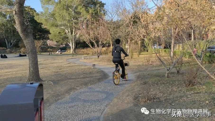 盲人的春天——视觉导航与虚拟陪伴系统