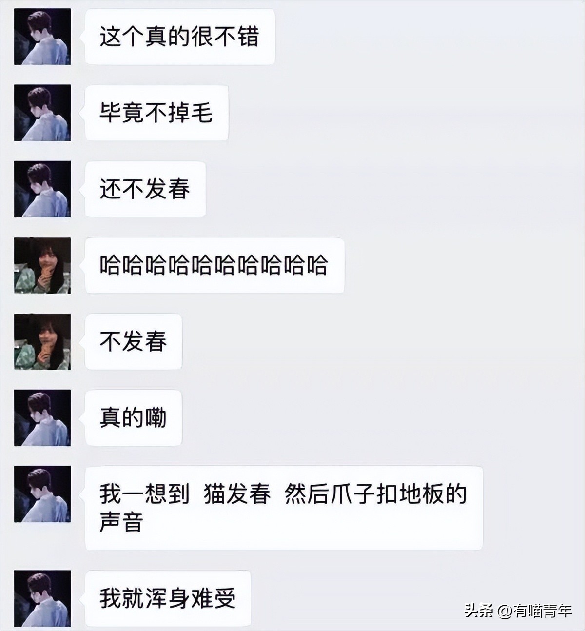 16个变态又实用的养猫妙招必看,养猫必看的100个技巧