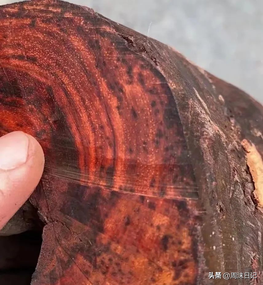 堪称“帝王之木”的印度小叶紫檀,越盘越好看,“真香”