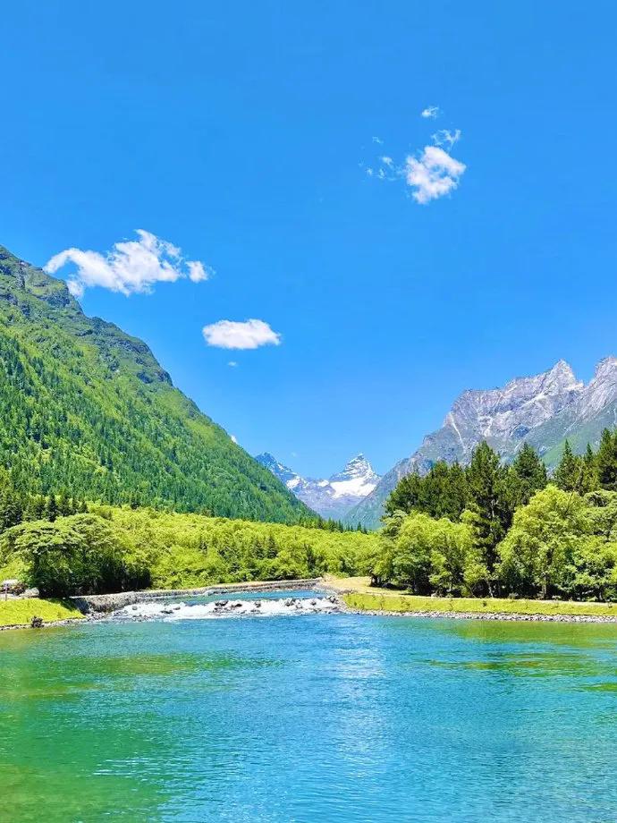 碧峰峡自然遗产大熊猫栖息地,世界自然遗产中国大熊猫栖息地