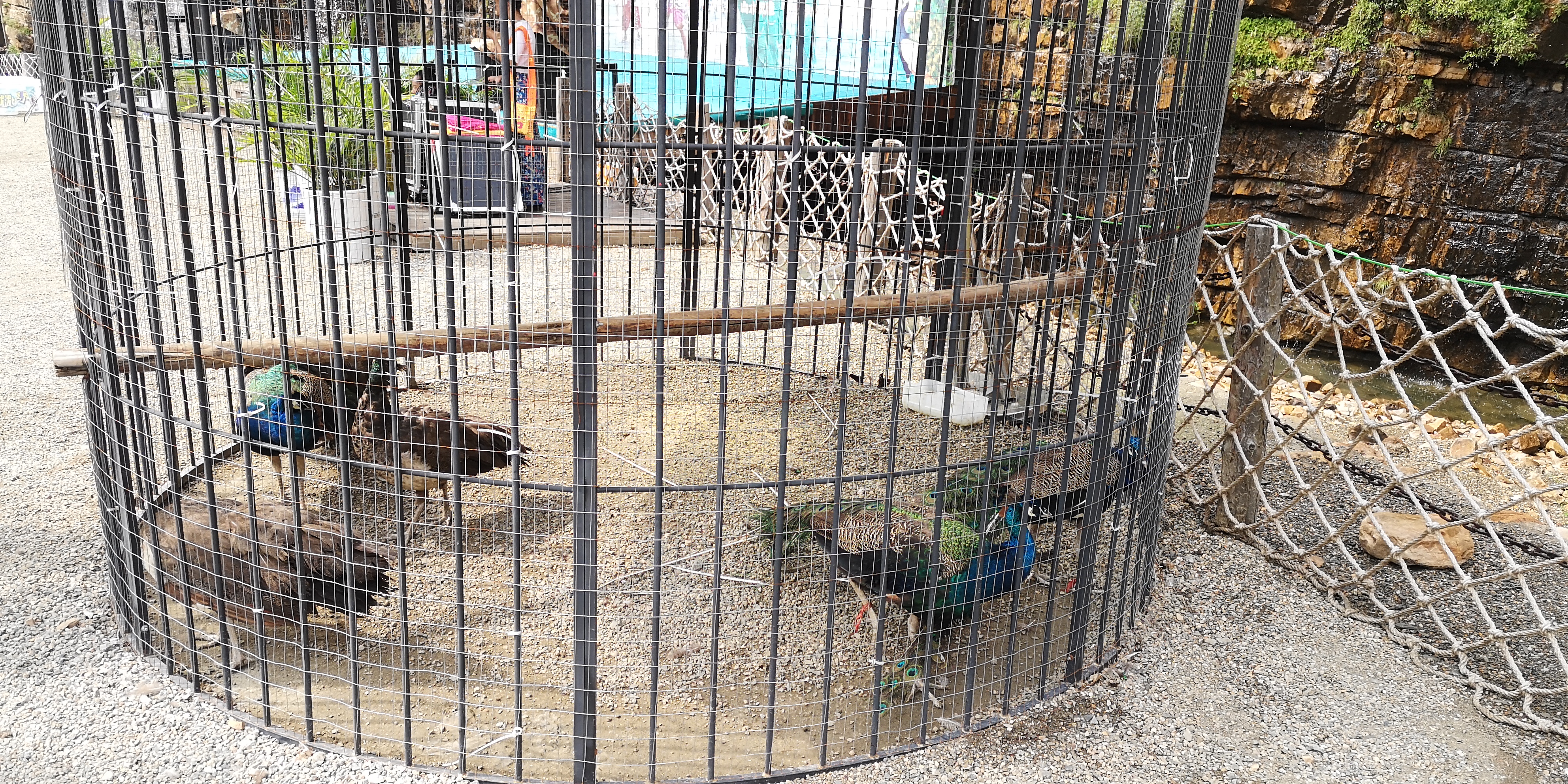 天津上乐园蓟县旅游攻略,天津蓟州太平寨旅游