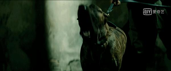 在流水线的国产剧市场，这硬挺的“奇葩”，填补了国产剧的空白？