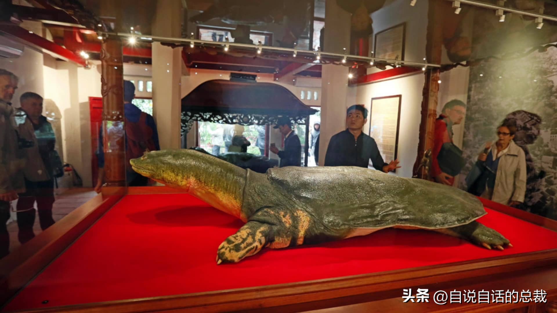 龟蛇大战,龟蛇大战故事