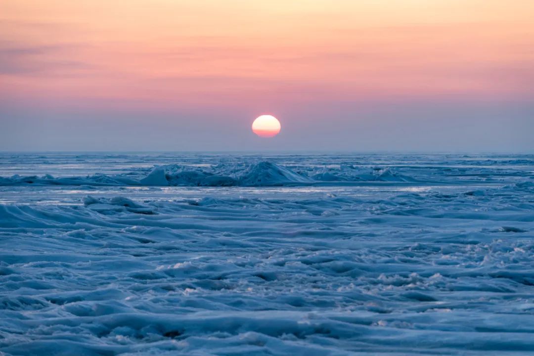 舌尖上的湖鲜鱼,美食篇之兴凯湖大白鱼
