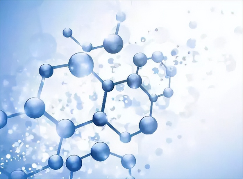 探究GDF11和GDF8氨基酸替代对骨骼发育相关信号通路的实用性研究