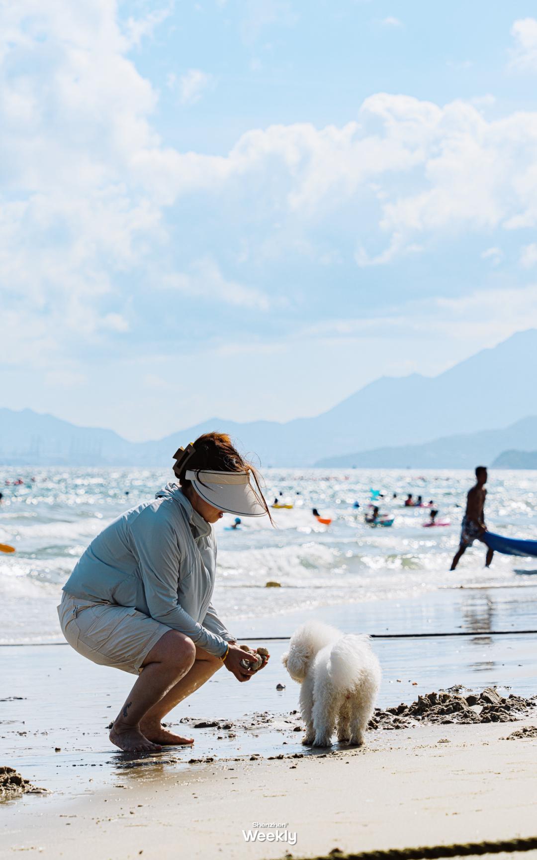 深圳玻璃海适合什么季节去,深圳适合藏玻璃海的地方