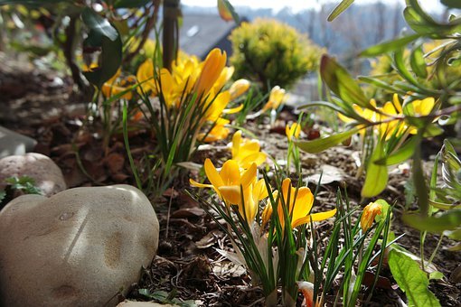 明天自有明天的忧愁,把明天的烦恼交给明天