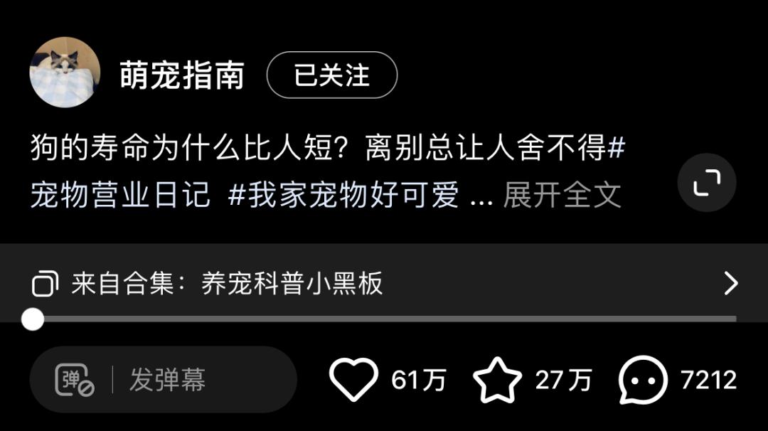 小红书萌宠博主怎么引流,小红书宠物博主5万一个月变现