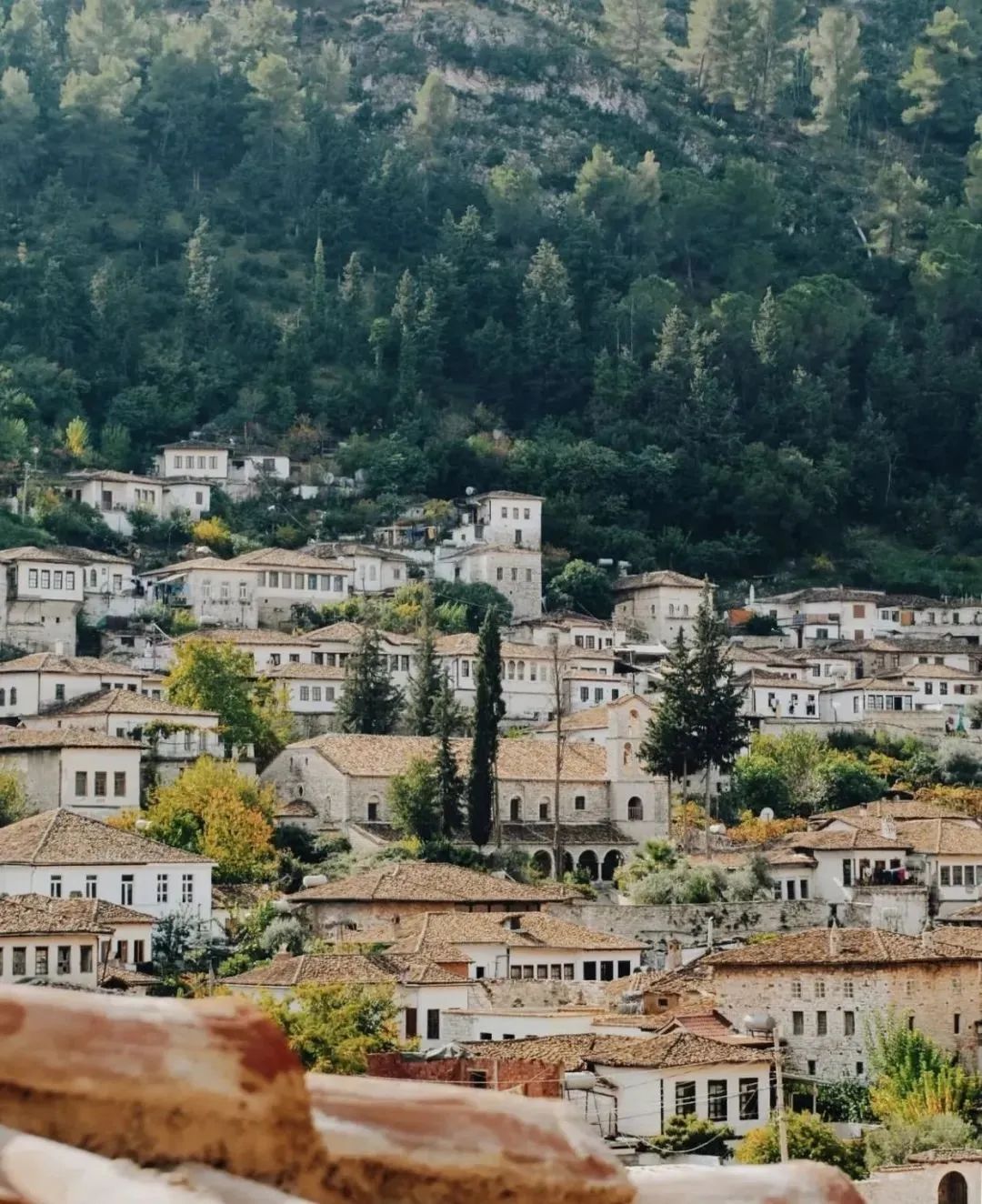 去海外必吃的美食,出国必备的中国美食