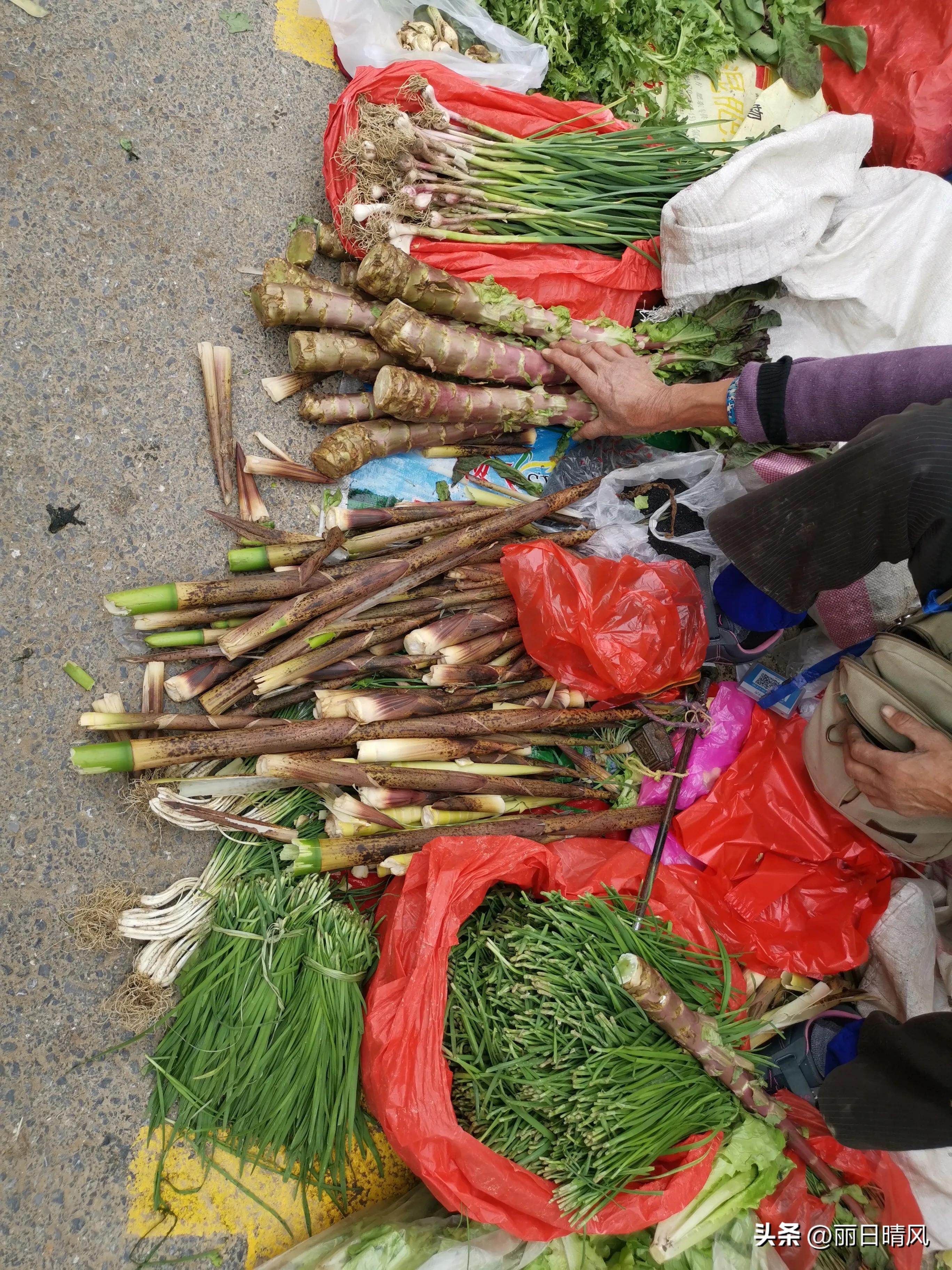 我的退休慢生活,我的退休生活该何去何从