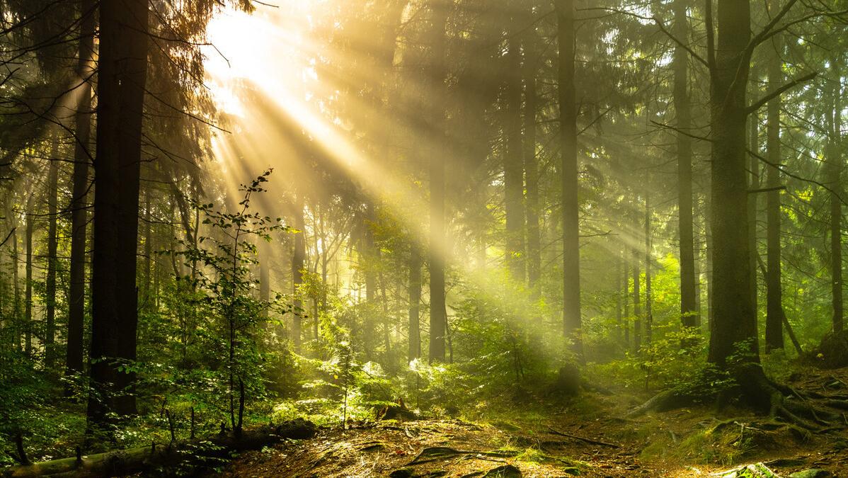 甲减脱发的最佳治疗方法,甲减头发长得慢脱发严重