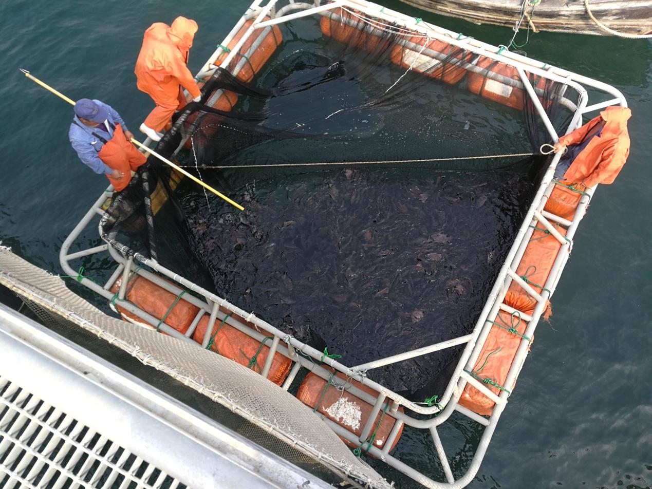 现代化农业示范基地围栏,农业新技术新装备应用项目