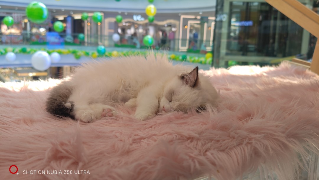 努比亚z50ultra对比其他全面屏手机,努比亚z50ultra全面屏有什么优势